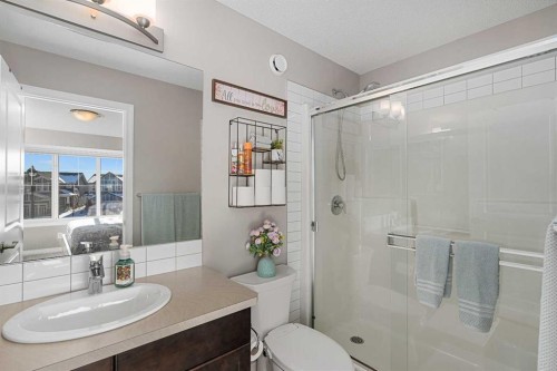 58 Kingfisher Crescent Se, Airdrie, AB - Indoor Photo Showing Bathroom