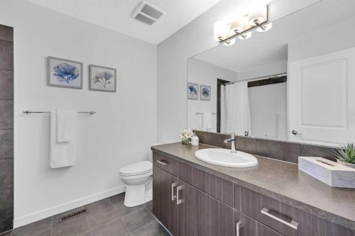 226 Auburn Crest Way Se, Calgary, AB - Indoor Photo Showing Bathroom