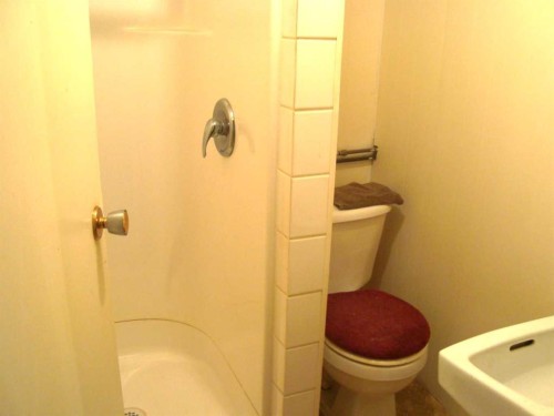 107 2Nd Avenue North, Torrington, AB - Indoor Photo Showing Bathroom