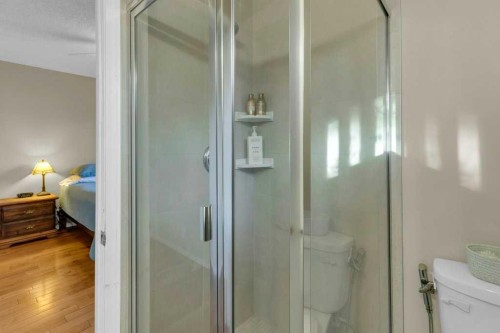 44 Sprucegrove Crescent Se, Airdrie, AB - Indoor Photo Showing Bathroom