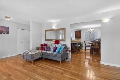 5122 48 Street Nw, Calgary, AB - Indoor Photo Showing Living Room
