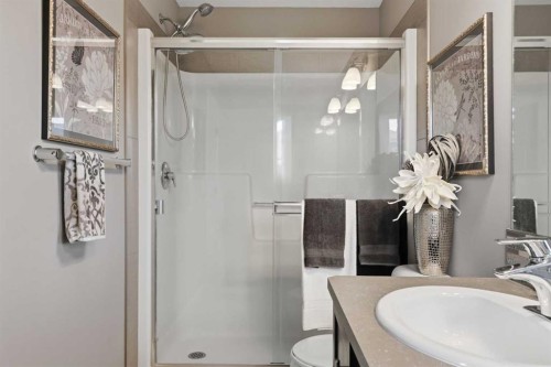 8 Evanscrest Way Nw, Calgary, AB - Indoor Photo Showing Bathroom