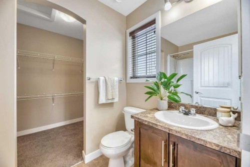 1205-230 Eversyde Boulevard Sw, Calgary, AB - Indoor Photo Showing Bathroom