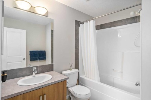 37 New Brighton Point Se, Calgary, AB - Indoor Photo Showing Bathroom