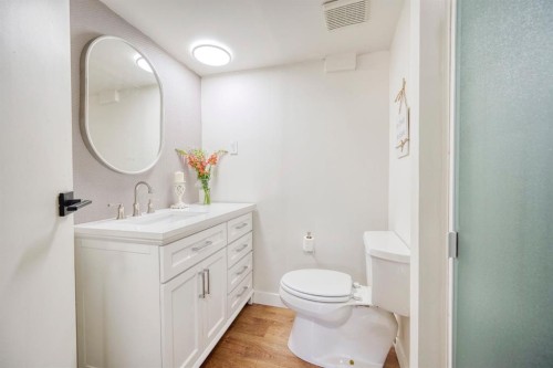 1176 Penrith Crescent Se, Calgary, AB - Indoor Photo Showing Bathroom