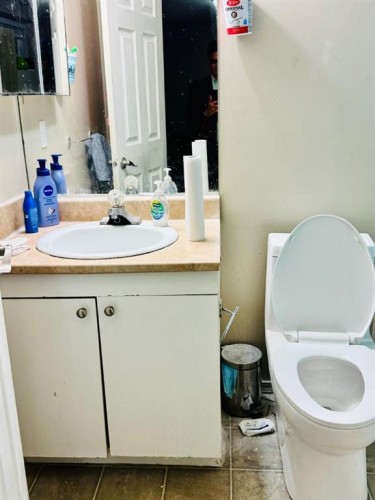 184 Taralake Terrace Ne, Calgary, AB - Indoor Photo Showing Bathroom