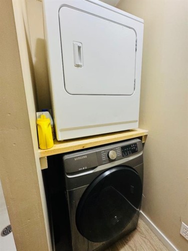 184 Taralake Terrace Ne, Calgary, AB - Indoor Photo Showing Laundry Room