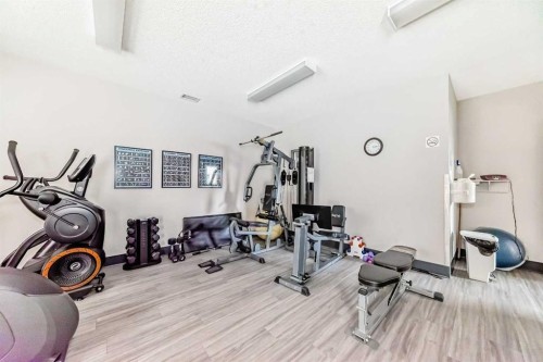 3202 Sienna Park Green Sw, Calgary, AB - Indoor Photo Showing Gym Room