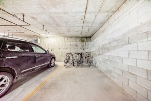 3202 Sienna Park Green Sw, Calgary, AB - Indoor Photo Showing Garage