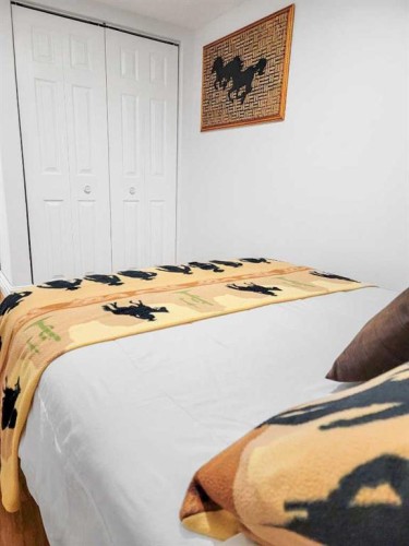 1509 38 Street Se, Calgary, AB - Indoor Photo Showing Bedroom