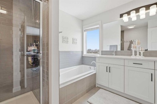 376 Fireside Way, Cochrane, AB - Indoor Photo Showing Bathroom