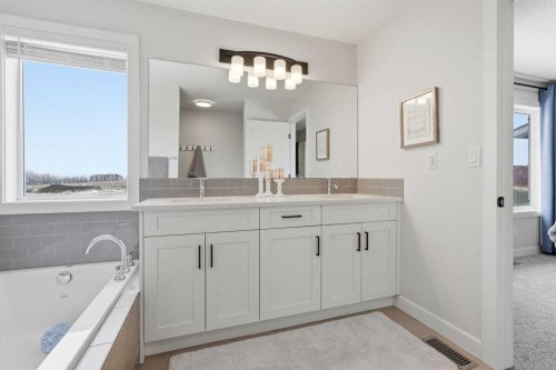 376 Fireside Way, Cochrane, AB - Indoor Photo Showing Bathroom