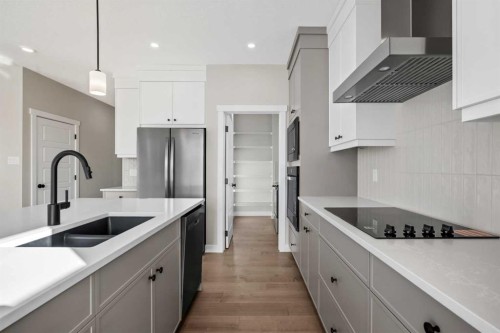 151 Dawson Wharf Mount, Chestermere, AB - Indoor Photo Showing Kitchen With Double Sink With Upgraded Kitchen
