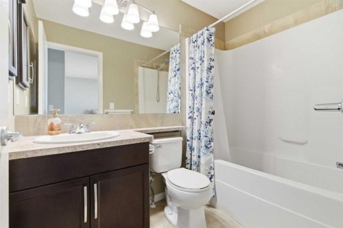 154 Cranford Park Se, Calgary, AB - Indoor Photo Showing Bathroom
