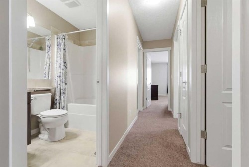 154 Cranford Park Se, Calgary, AB - Indoor Photo Showing Bathroom