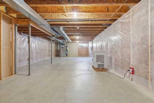 154 Cranford Park Se, Calgary, AB - Indoor Photo Showing Basement