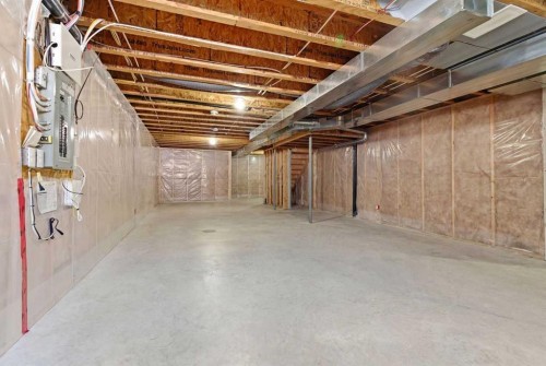 154 Cranford Park Se, Calgary, AB - Indoor Photo Showing Basement