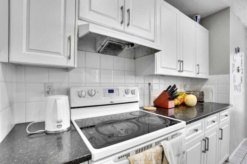 39 Douglasview Road Se, Calgary, AB - Indoor Photo Showing Kitchen