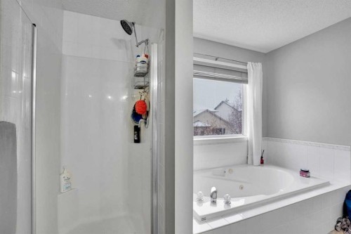 39 Douglasview Road Se, Calgary, AB - Indoor Photo Showing Bathroom