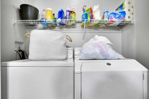 39 Douglasview Road Se, Calgary, AB - Indoor Photo Showing Laundry Room