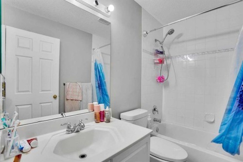 39 Douglasview Road Se, Calgary, AB - Indoor Photo Showing Bathroom