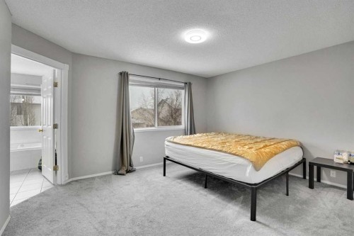 39 Douglasview Road Se, Calgary, AB - Indoor Photo Showing Other Room
