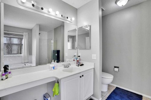 39 Douglasview Road Se, Calgary, AB - Indoor Photo Showing Bathroom