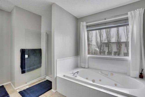 39 Douglasview Road Se, Calgary, AB - Indoor Photo Showing Bathroom
