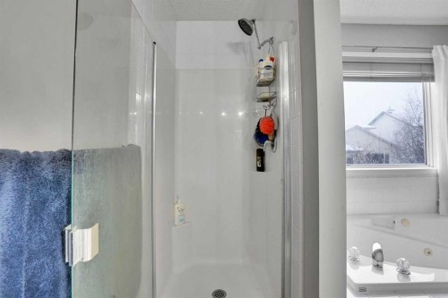 39 Douglasview Road Se, Calgary, AB - Indoor Photo Showing Bathroom