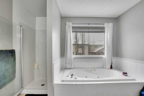 39 Douglasview Road Se, Calgary, AB - Indoor Photo Showing Bathroom
