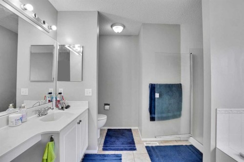 39 Douglasview Road Se, Calgary, AB - Indoor Photo Showing Bathroom
