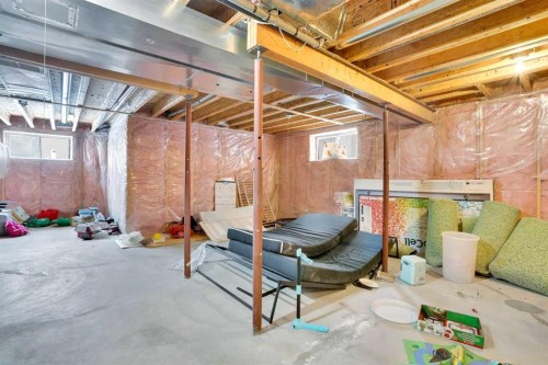 39 Douglasview Road Se, Calgary, AB - Indoor Photo Showing Basement