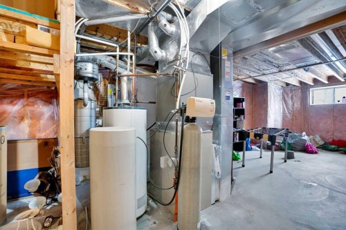 39 Douglasview Road Se, Calgary, AB - Indoor Photo Showing Basement