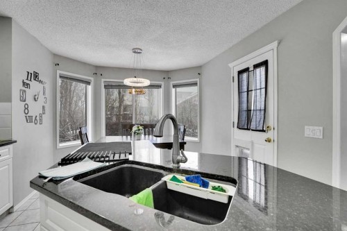 39 Douglasview Road Se, Calgary, AB - Indoor Photo Showing Kitchen With Double Sink