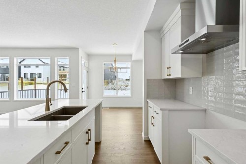 175 Herron Landing Ne, Calgary, AB - Indoor Photo Showing Kitchen With Double Sink