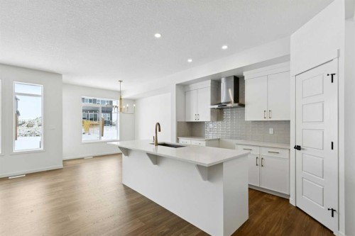 175 Herron Landing Ne, Calgary, AB - Indoor Photo Showing Kitchen With Upgraded Kitchen