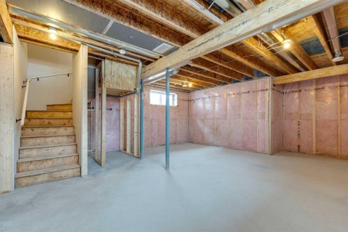 175 Herron Landing Ne, Calgary, AB - Indoor Photo Showing Basement