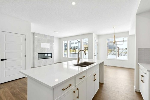 175 Herron Landing Ne, Calgary, AB - Indoor Photo Showing Kitchen With Double Sink
