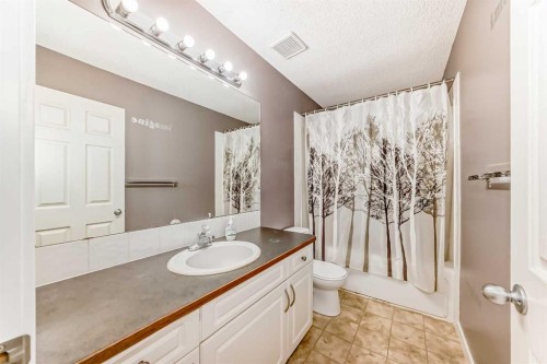 57 Cimarron Meadows Crescent, Okotoks, AB - Indoor Photo Showing Bathroom