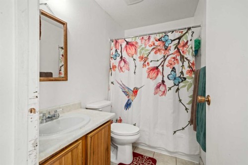 124 Berkley Way Nw, Calgary, AB - Indoor Photo Showing Bathroom