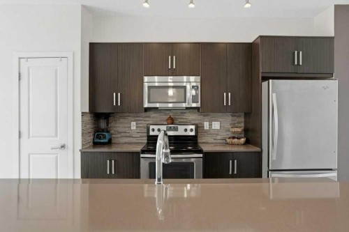 349 Walden Drive Se, Calgary, AB - Indoor Photo Showing Kitchen With Stainless Steel Kitchen With Upgraded Kitchen