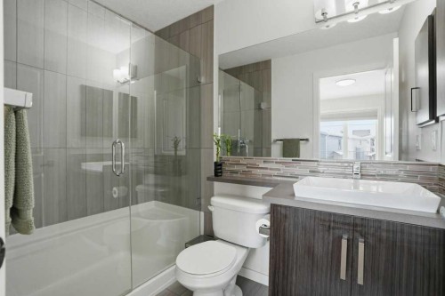 349 Walden Drive Se, Calgary, AB - Indoor Photo Showing Bathroom
