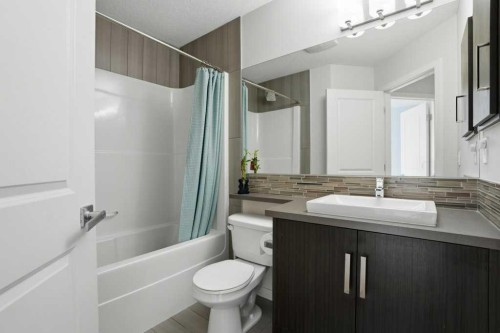 349 Walden Drive Se, Calgary, AB - Indoor Photo Showing Bathroom