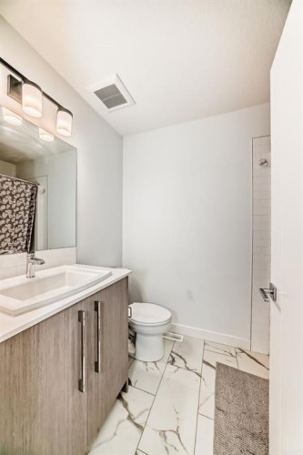 202 Creekstone Drive Sw, Calgary, AB - Indoor Photo Showing Bathroom