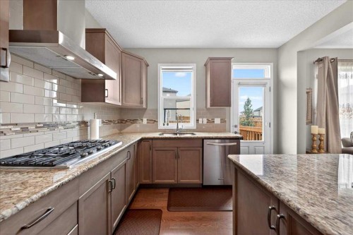 30 Cityscape Grove Ne, Calgary, AB - Indoor Photo Showing Kitchen With Double Sink With Upgraded Kitchen