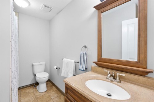29 Sandpiper Drive, Didsbury, AB - Indoor Photo Showing Bathroom