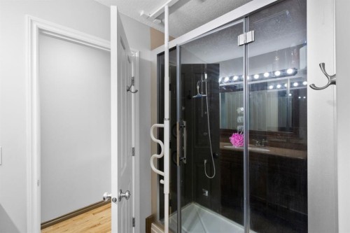 29 Sandpiper Drive, Didsbury, AB - Indoor