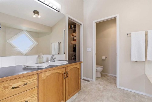 1067 Coventry Drive Ne, Calgary, AB - Indoor Photo Showing Bathroom