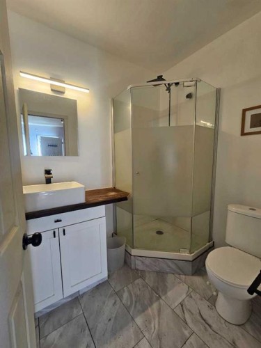 7639 Ogden Road Se, Calgary, AB - Indoor Photo Showing Bathroom