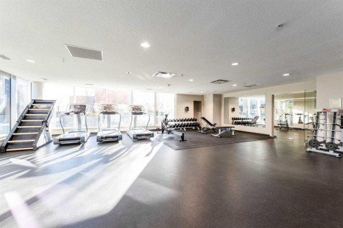 602-1320 1 Street Se, Calgary, AB - Indoor Photo Showing Gym Room